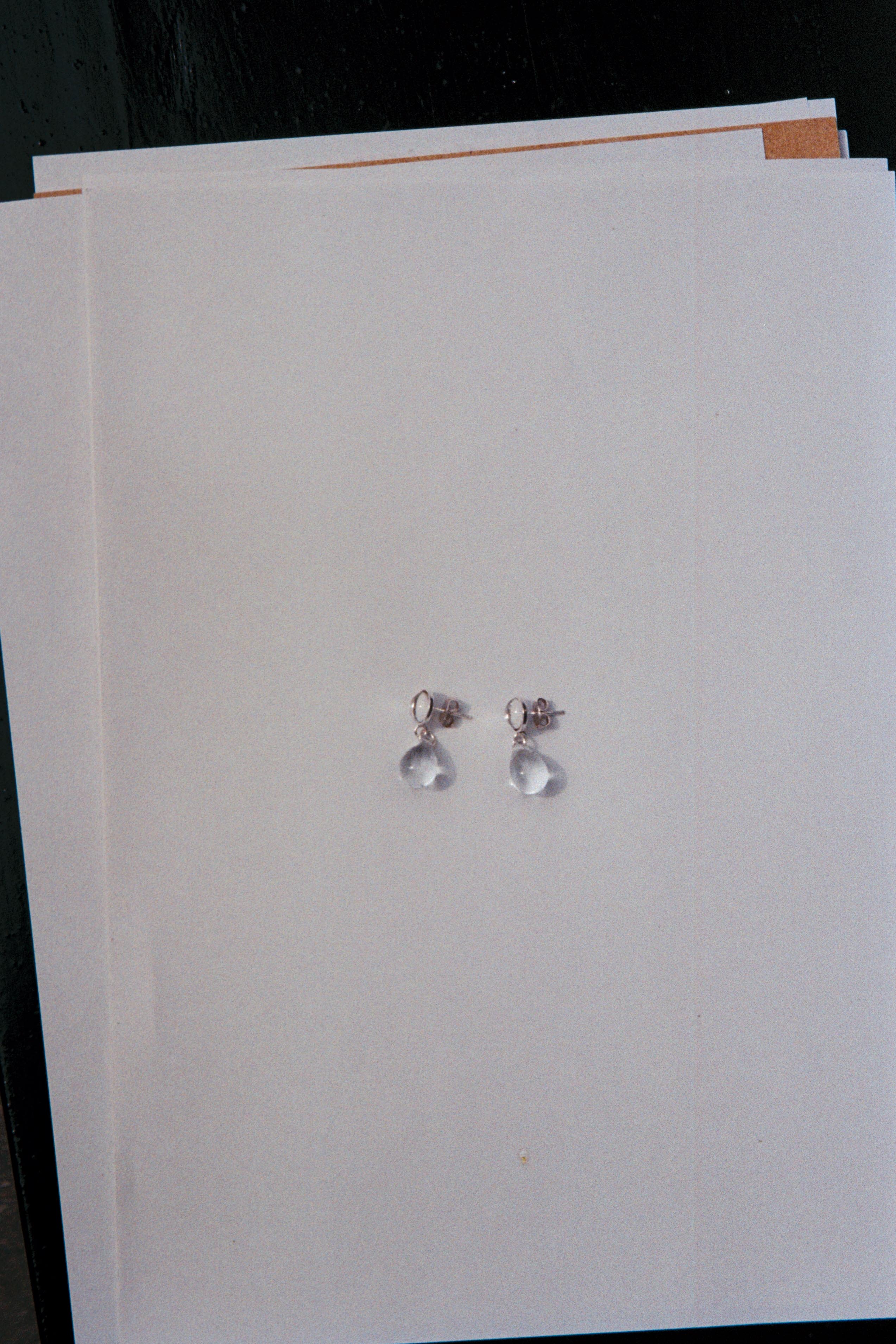 Danielle earrings - Clear